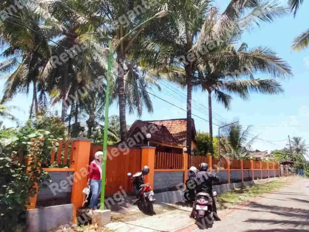 Dijual Tanah Bonus Rumah Osing & Gazebo – Paspan, Glagah Banyuwangi