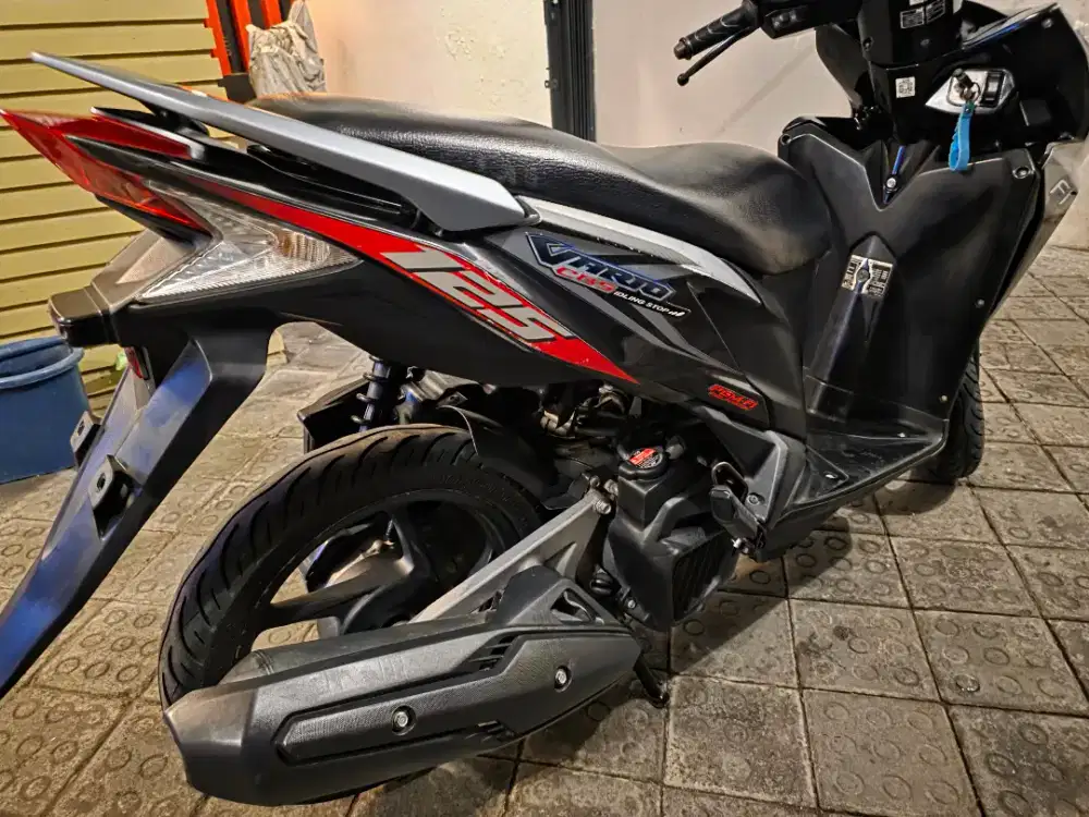 FS Vario KZR 2014 original