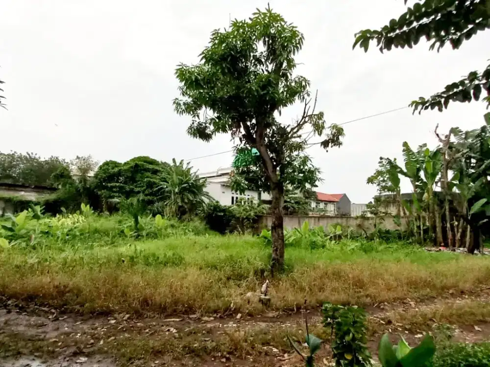 Kavling strategis dekat universitas pamulang - setiabudi pamulang timur