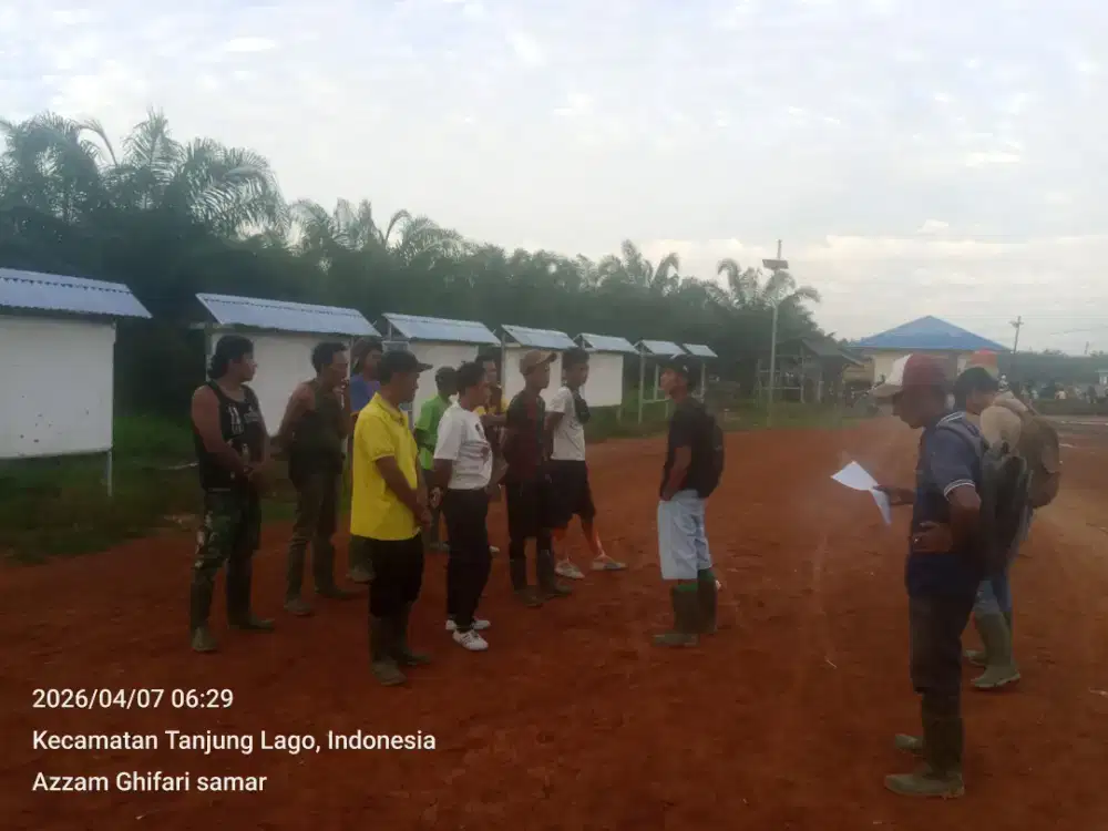 Dicari pemanen untuk PT Sriwijaya palm oil cabang pulau Rimau CLS