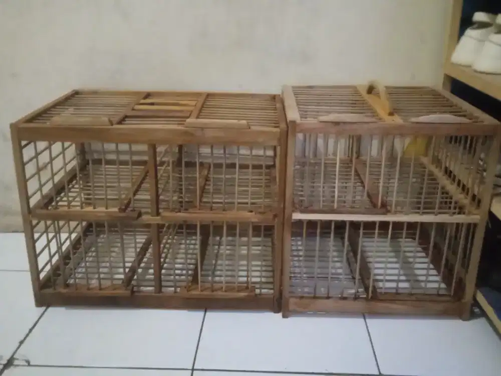 Dondang japati ada 2