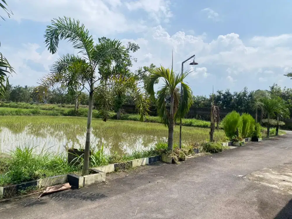 Tanah Sleman Dekat Jl Purwomartani Area Pasar Sidorejo