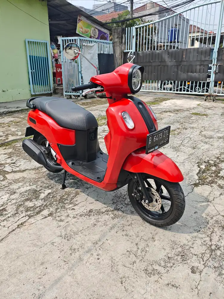 Jual Fazzio Kayles 2022 Full Orisinill