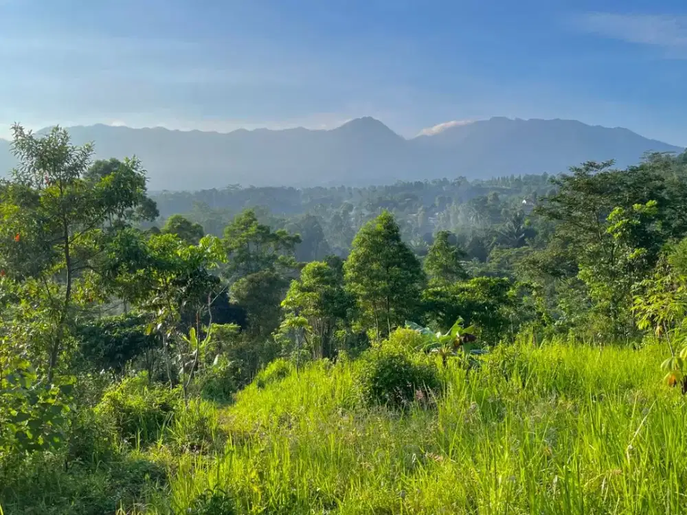 Tanah Pinggir Jalan Pemandangan Bagus Udara Sejuk Bojong Purwakarta