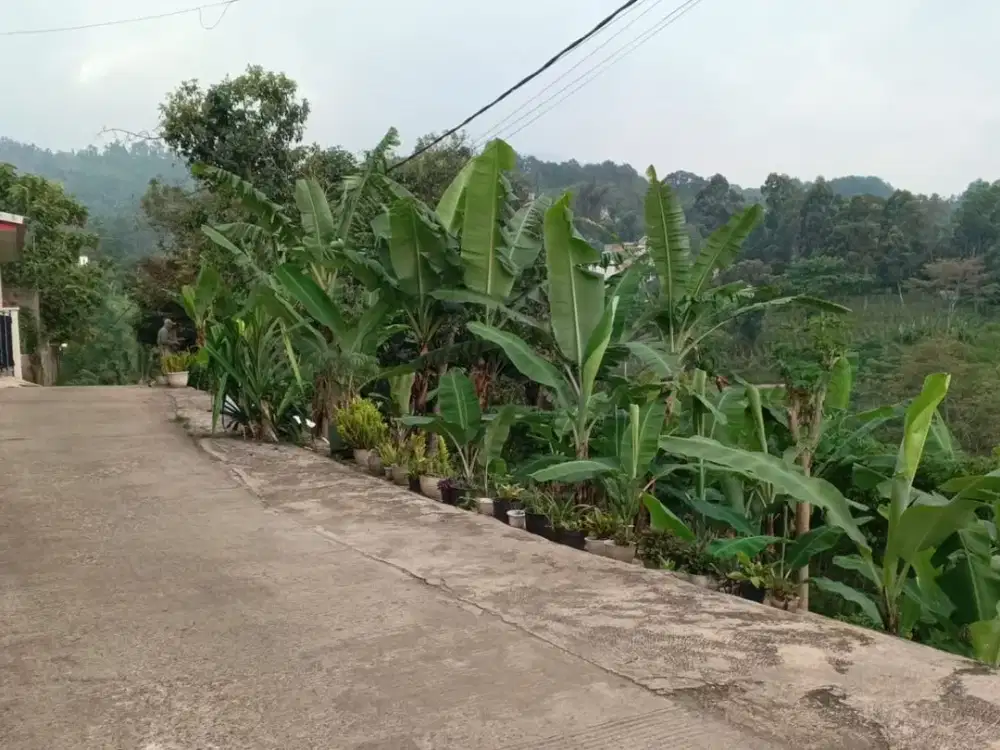 Lahan 1.612 m² Cocok Café Hits – Dekat Akses Tol Cileunyi