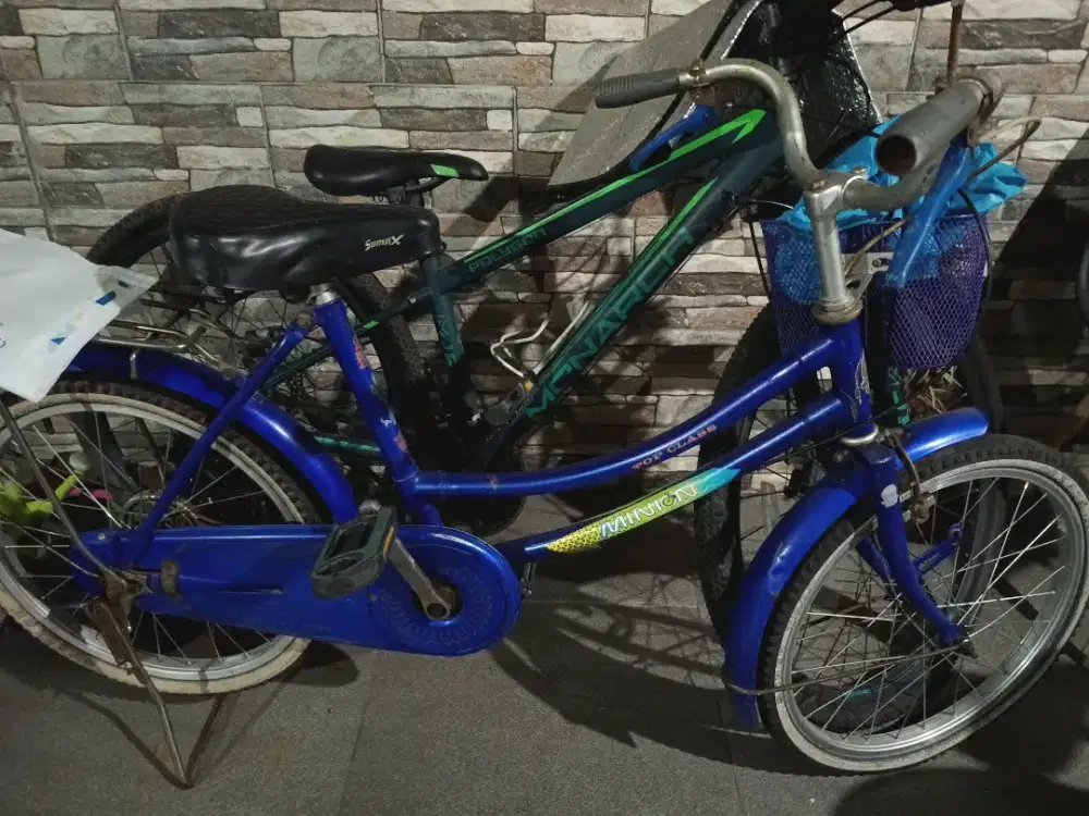 Sepeda anak cewek warna biru
