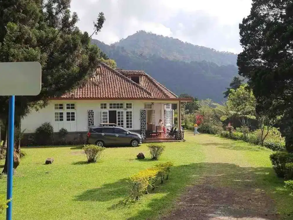 Villa Asri View Pegunungan di Puncak Bogor | Cocok untuk Villa Resort & Investasi