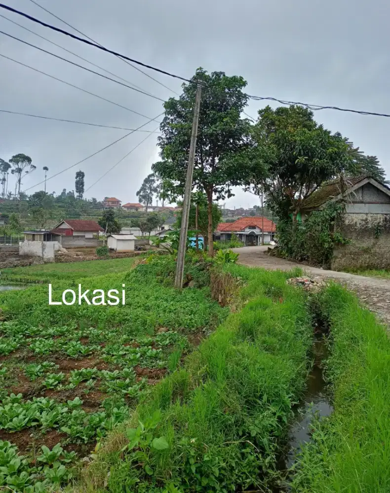 JUAL TANAH KEBUN PINGGIR JALAN CIWIDEY