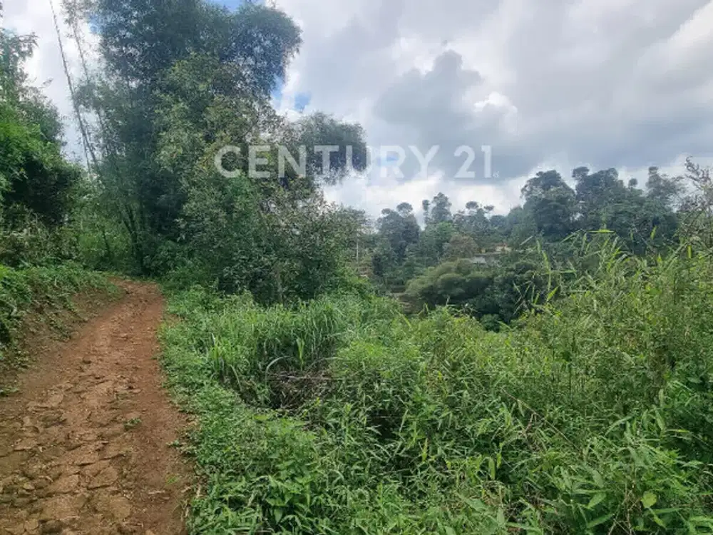 Jual Tanah Cocok Untuk Perkebunan Atau Villa Daerah Ciwidey