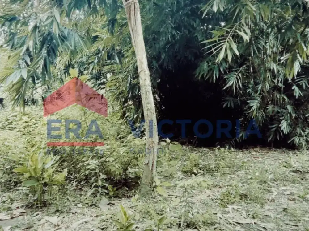 Tanah di Tugurejo Ngasem Kab Kediri