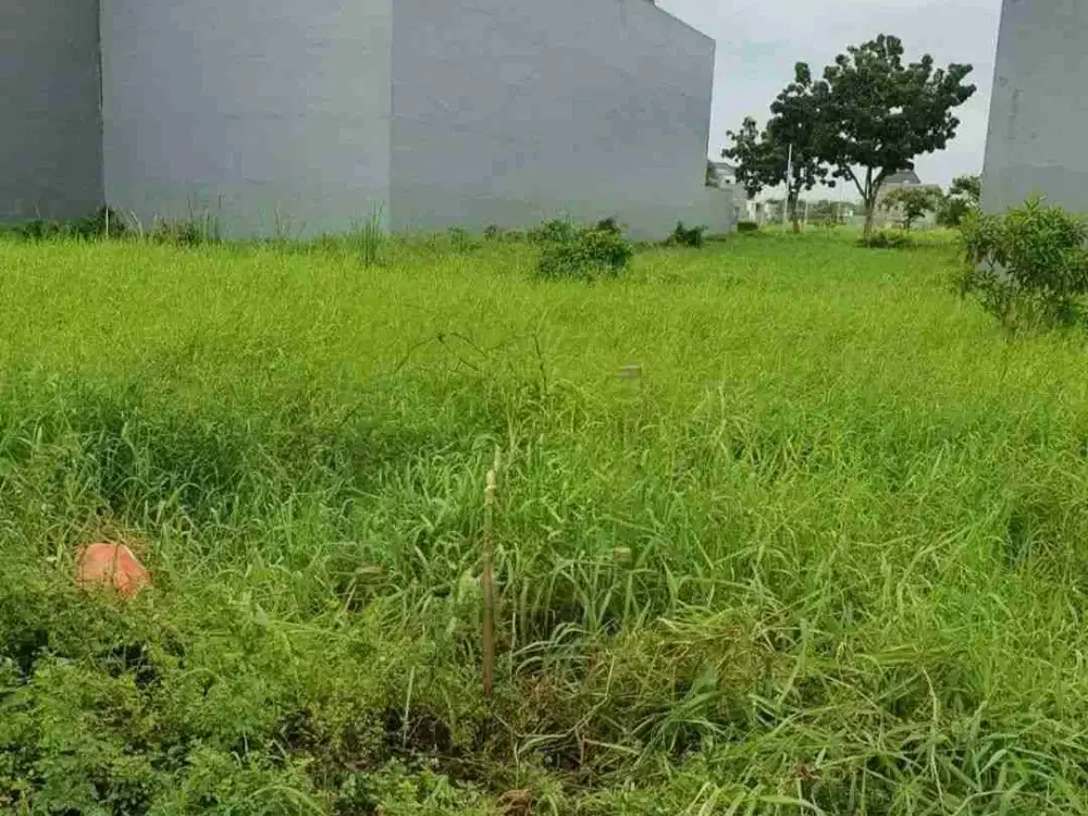 Dijual Kavling 300 m2 Puri Galaxy Lotus Garden Tanah Favorit Lebar 12 meter PPJB