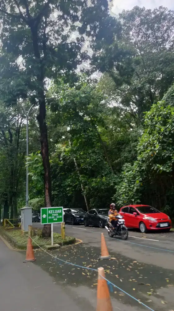DIBUTUHKAN SECEPATNYA untuk momong anak