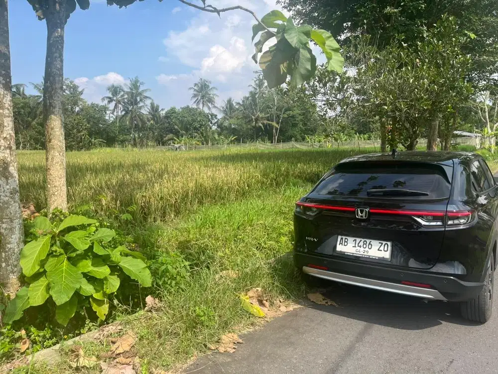 Tanah sawah di jual