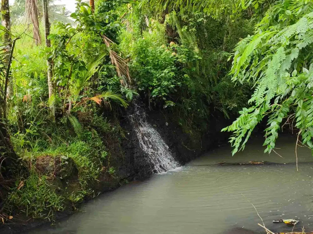 10 are los sungai dekat pantai balian