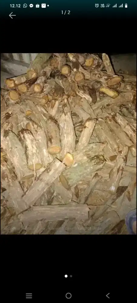 Akar bajakah obat herbal kalimantan balikpapan