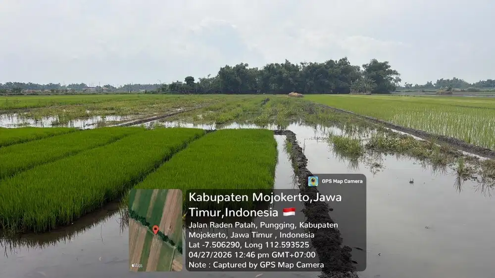 Dijual Tanah Sawah dekat Pabrik