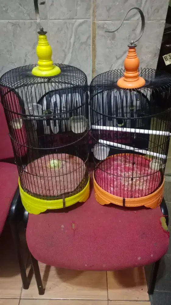 Dijual kandang burung