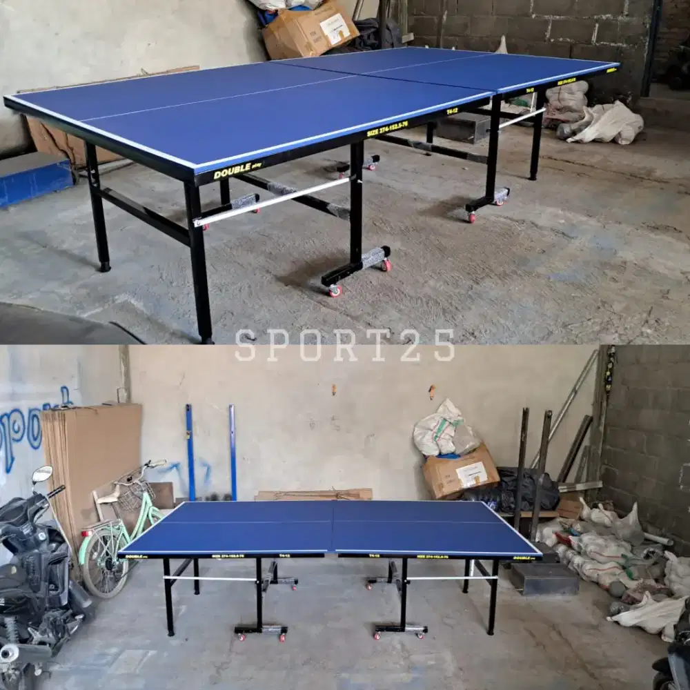 TENIS MEJA PINGPONG