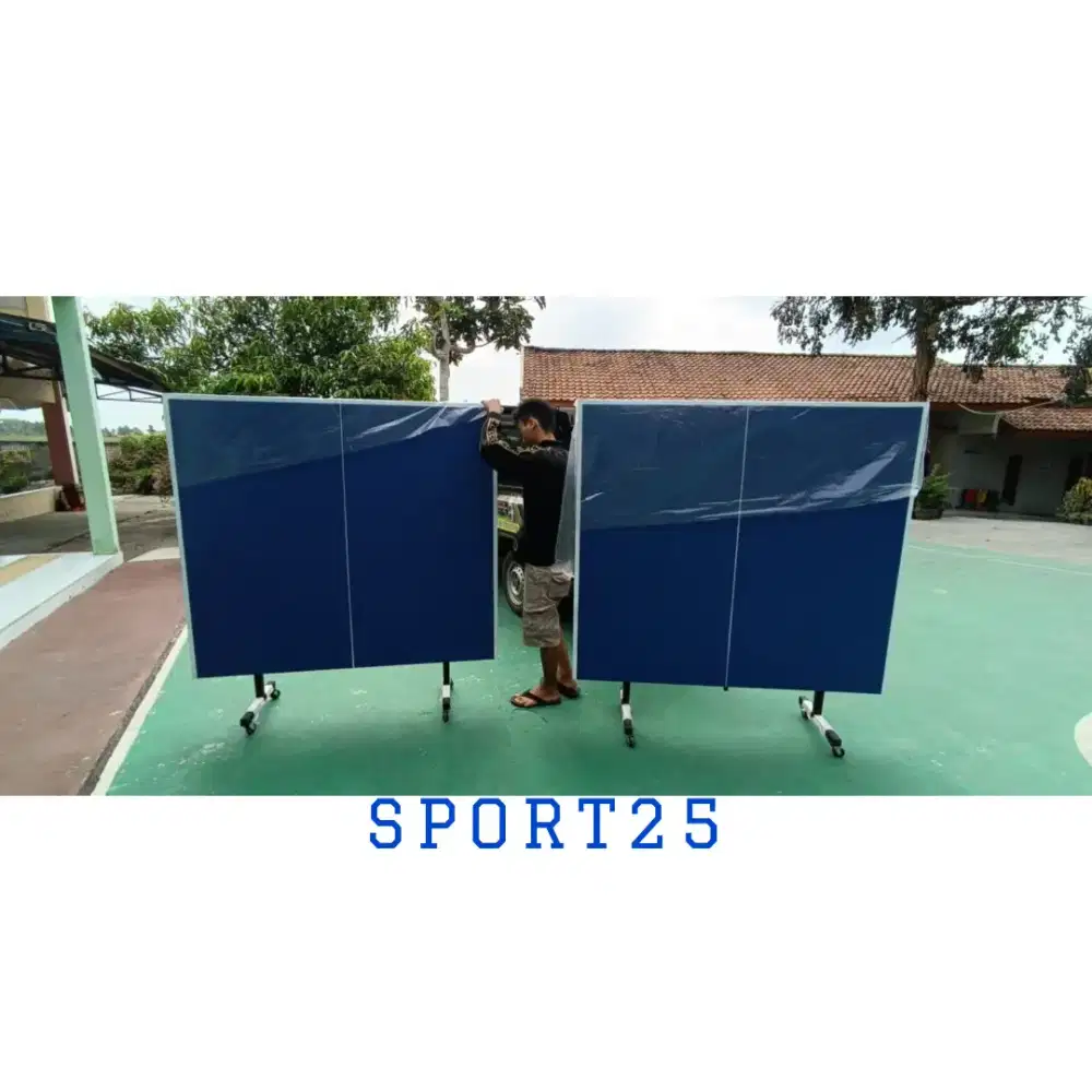TENIS MEJA PINGPONG