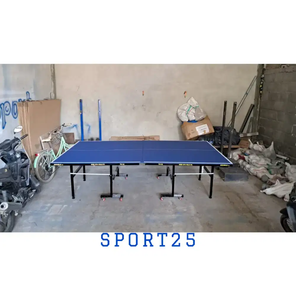 TENIS MEJA PINGPONG