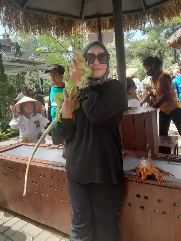 Mencari lowongan kerja