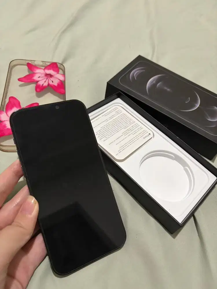 iphone 12 pro 256gb