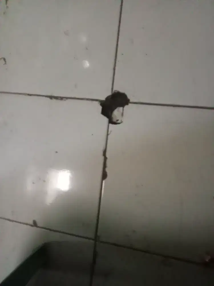 Cari loker apa, aja
