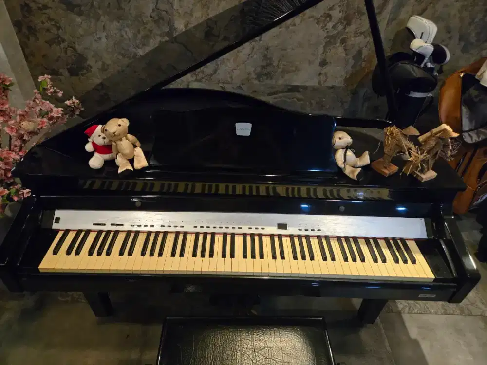 Baby grand piano digital
