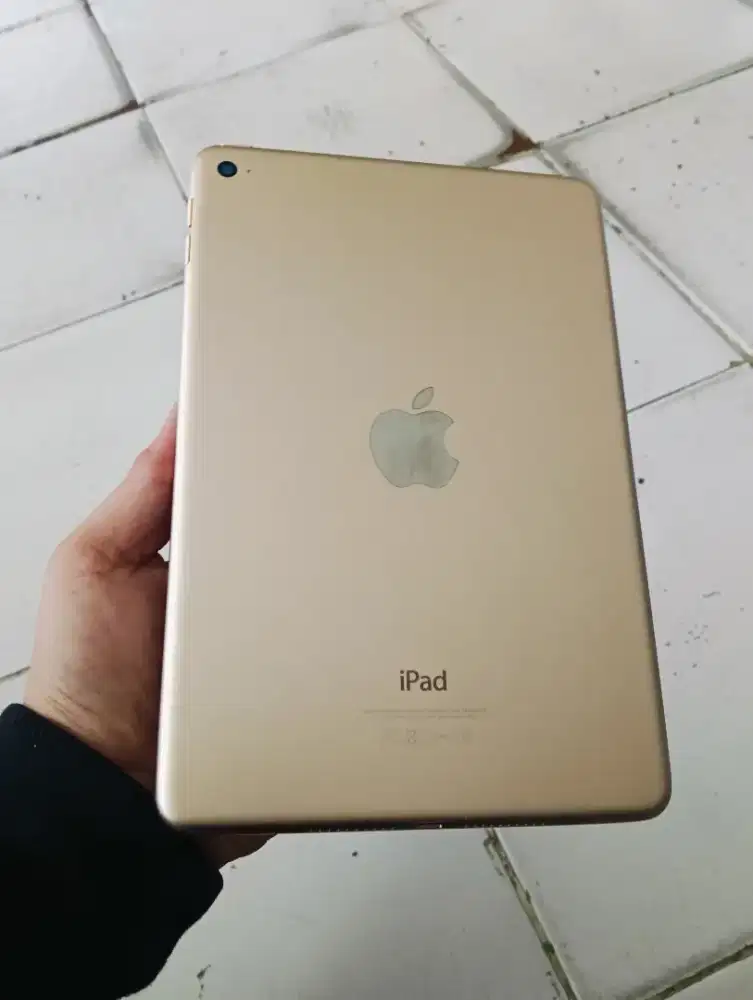 iPad mini 4 wifi only 64 GB