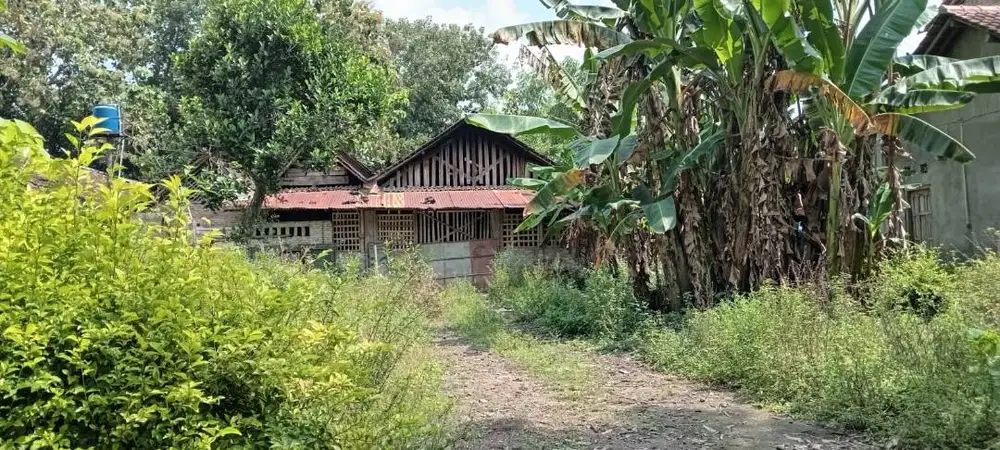 TANAH PEKARANGAN SHM KASONGAN DIJUAL MURAH | Di Bawah Pasaran