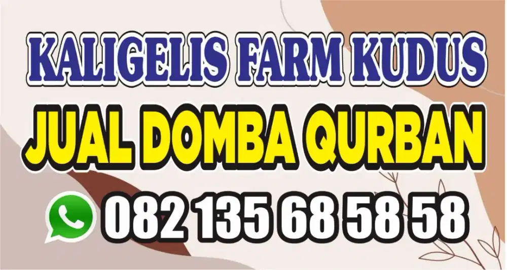Jual Domba Qurban