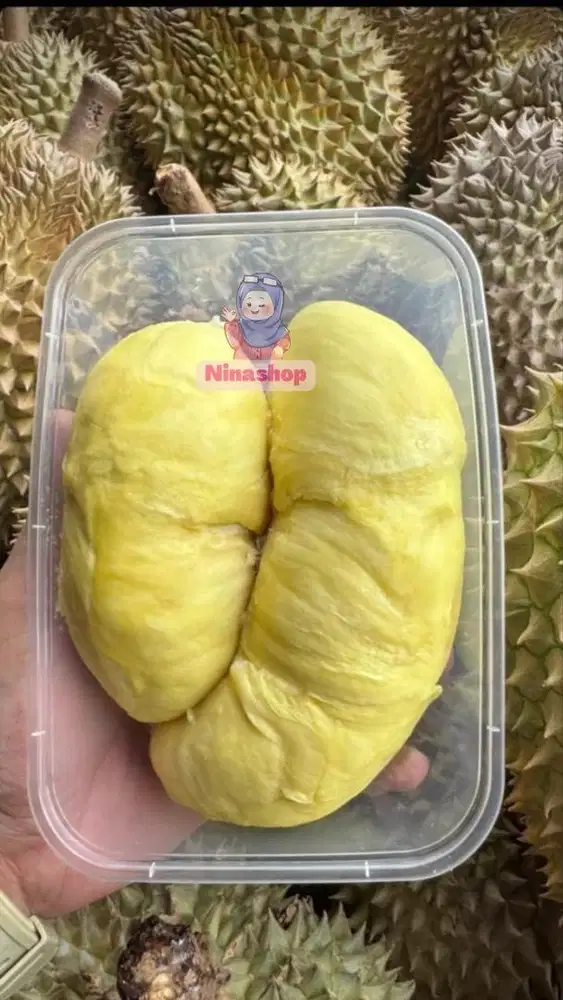 Montong Box / Duren Box / Durian Montong Palu