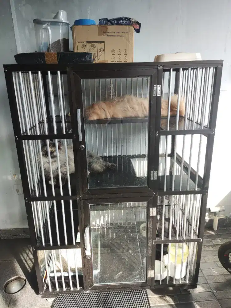 Open Adop Kucing + Kandang