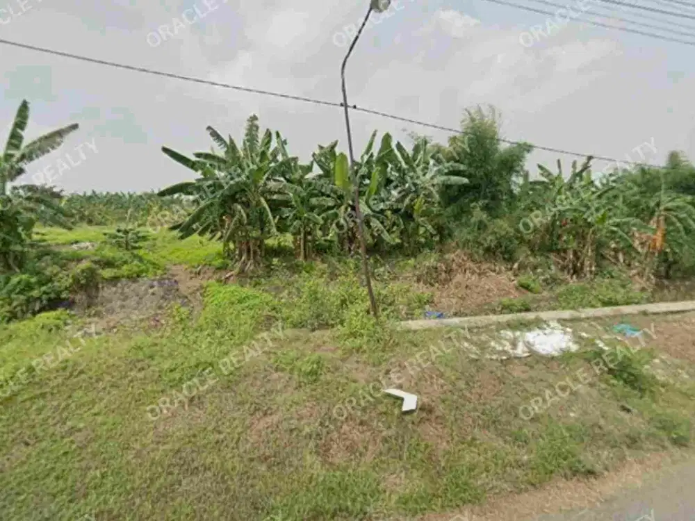 Jual Murah Tanah Pandaan , Kel. Sumberejo, Kec. Pandaan Pasuruan
