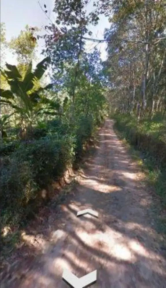 Dijual lahan pertanian boja dekat Semarang Barat