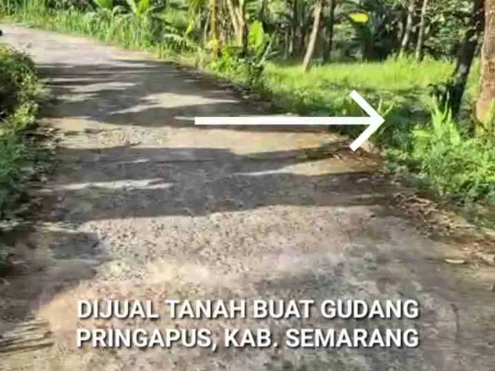 TANAH UNTUK GUDANG ATAU PERUMAHAN DI PRINGSARI PRINGAPJS, KABUPATEN SEMARANG
