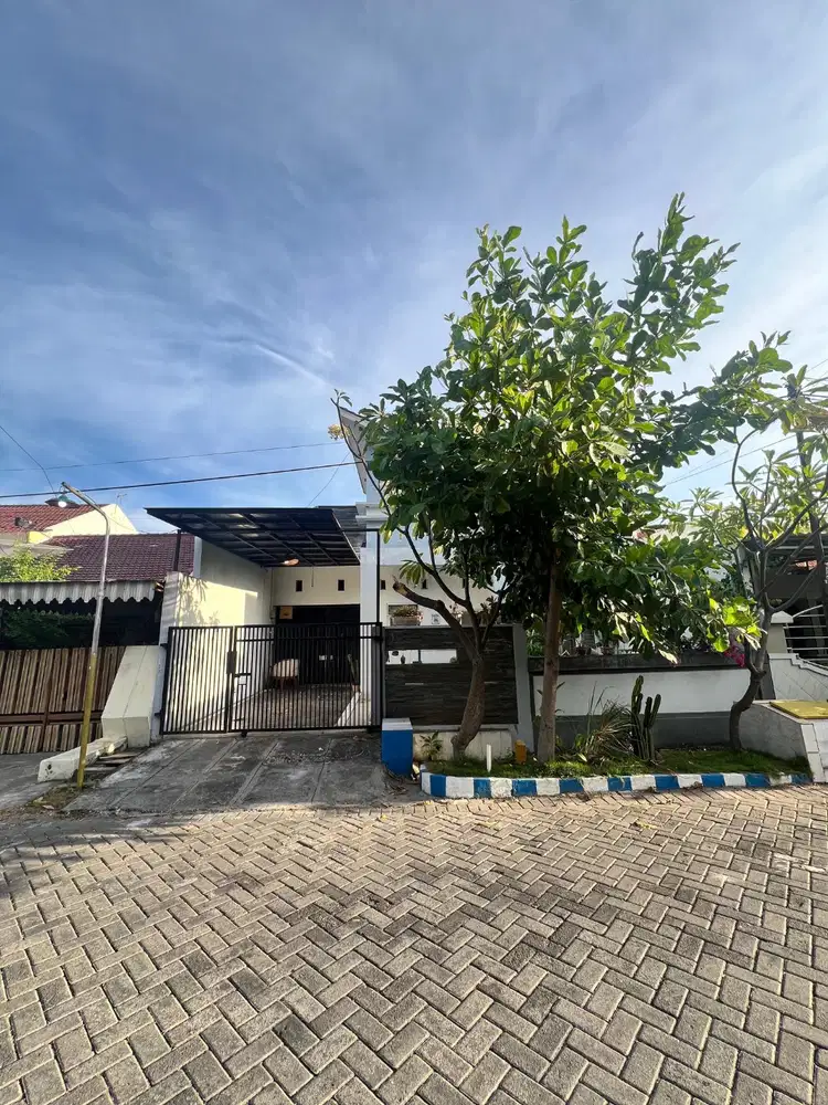 DIJUAL BANTING HARGA RUMAH RUNGKUT MEJOYO SELATAN! COCOK UNTUK KOS!