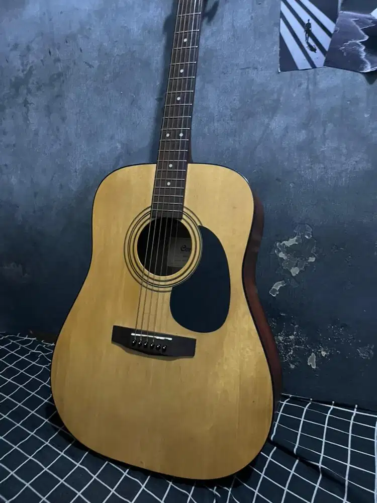 Cort ad810 original, mulus1