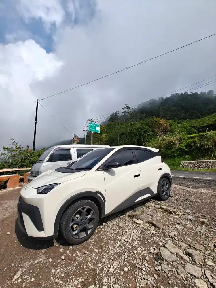 BYD  atto 1 dynamic