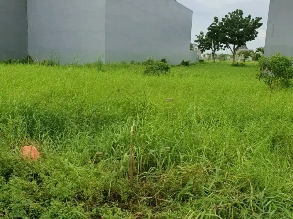 Dijual Tanah Puri Galaxy Lotus Garden 300 m2 Kavling Cluster Favorit