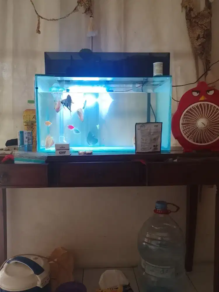 Jual akuarium talang dan meja beserta ikan nya