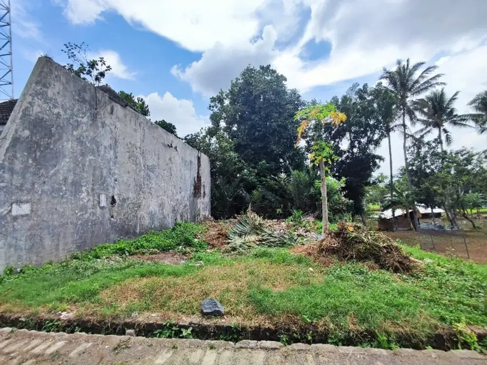 TANAH SHM 309 JALAN UTAMA PERUMAHAN PATRANG JEMBER