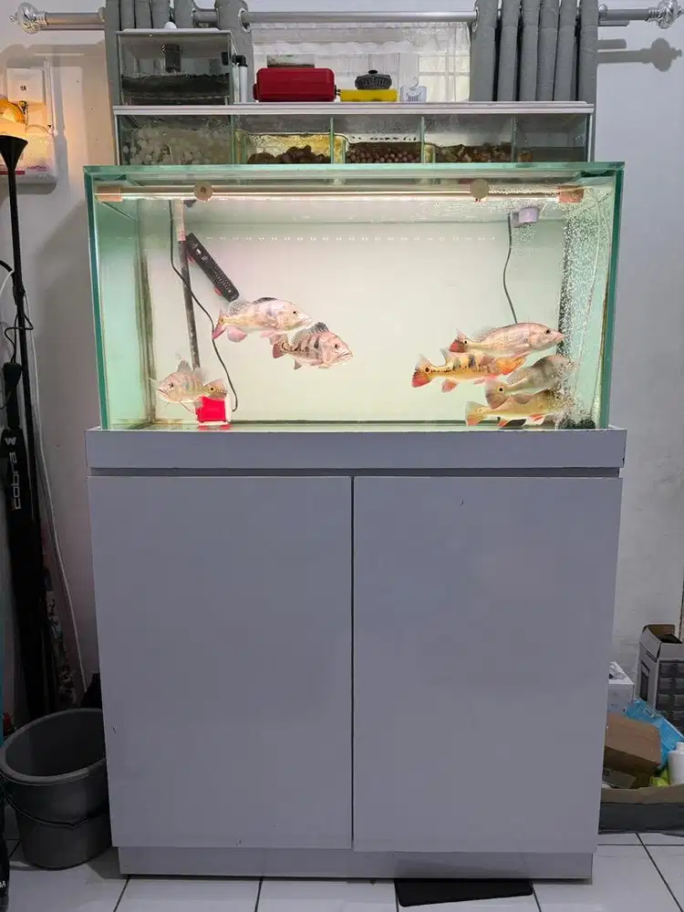 Aquarium Cabinet Full set 100x40x50cm Ikan Hias Kabinet Rak Akuarium