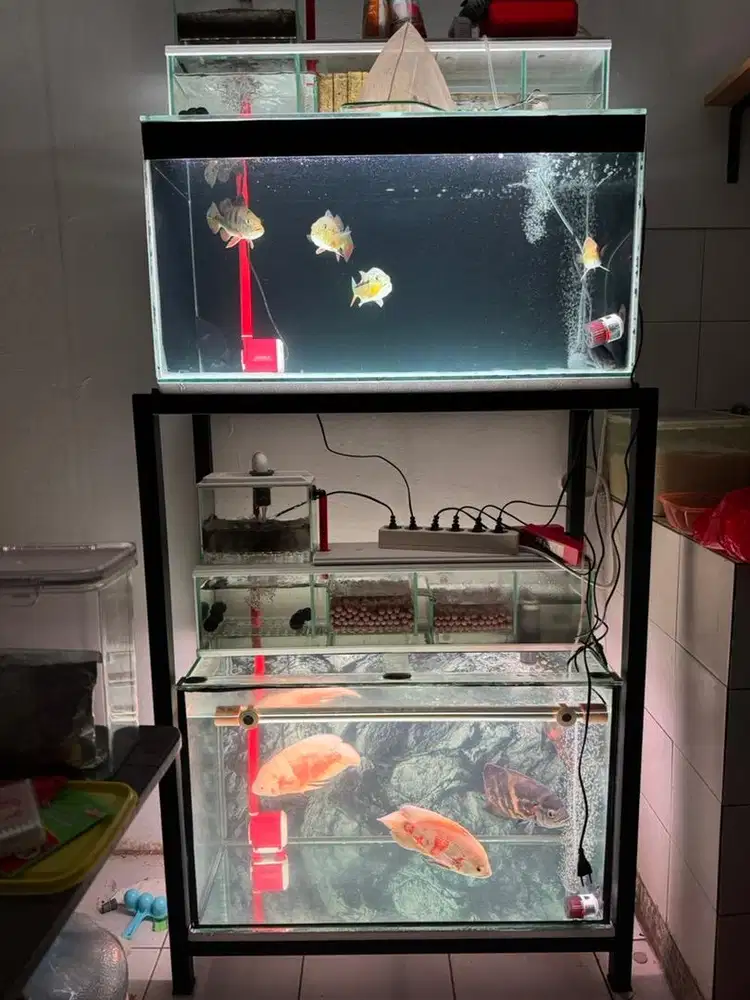 Aquarium Tingkat 80x40x40 Fullset Top Filter ikan hias Akuarium