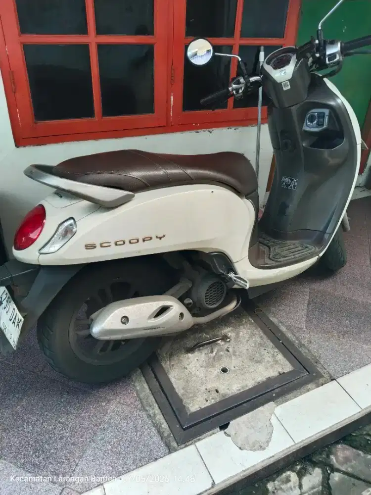 Scoopy Prestige 2023