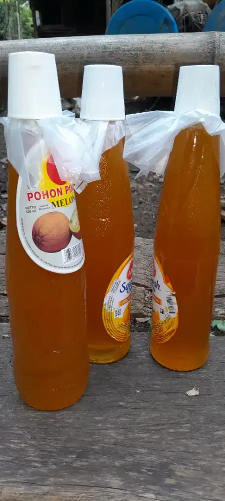 Jual madu asli dari alam
