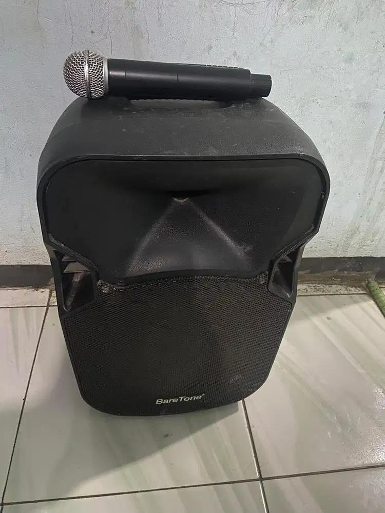 Speakers baretone 12 inch.