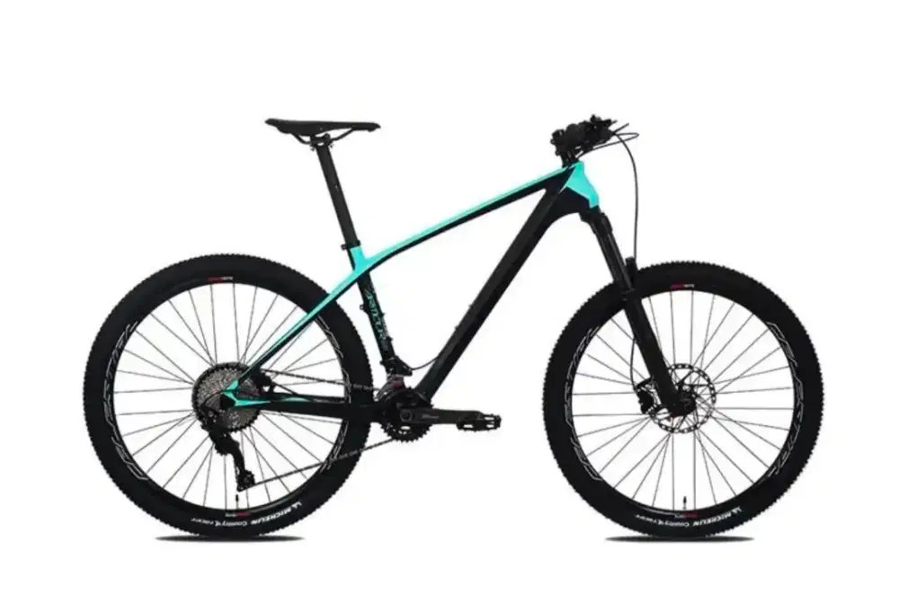 Sepeda Carbon Pacific Armour 600