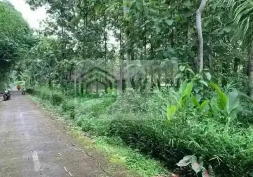 Tanah Pekarangan Luas & Murah Dapat 2 Akses Jalan