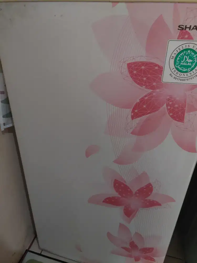 Kulkas  Sharp Satu Pintu